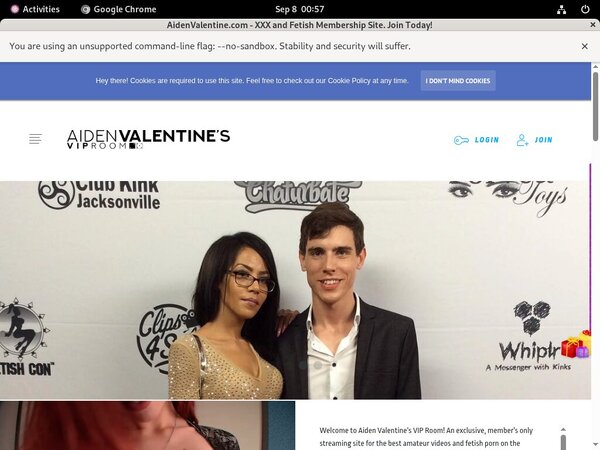 AidenValentine Login Passwords