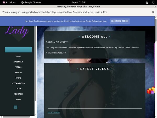 AlexLady Using Paypal