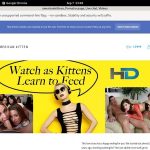 Americankittens Code