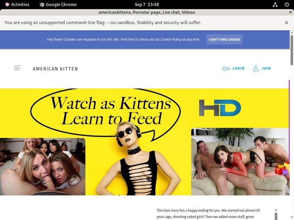 Americankittens Code