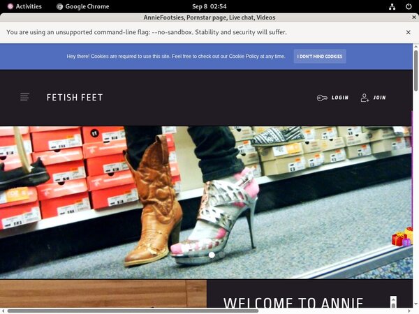 AnnieFootsies Passwords Blog