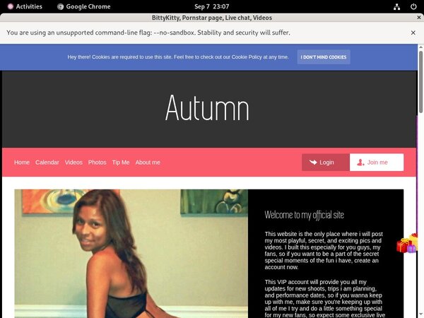 BittyKitty Lower Price
