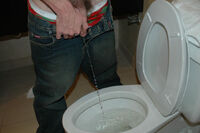 Boys Pissing Free Users s2 Boys Pissing Free Users s2