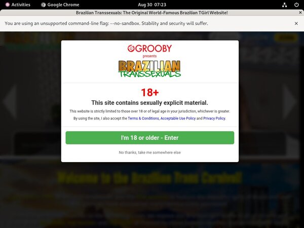 Brazilian-transsexuals.com Discount Logins