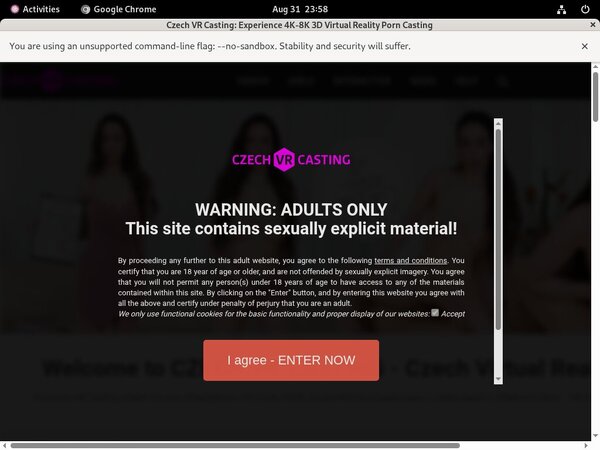 Com Czechvrcasting Password