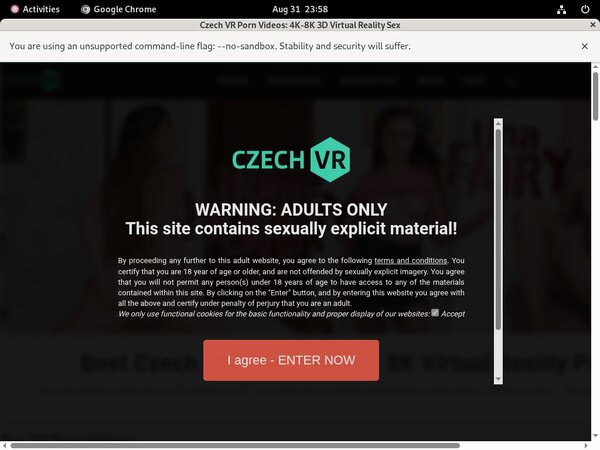 Czechvr Access Free