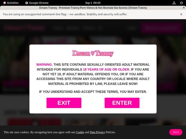 Dreamtranny.com Password Blog