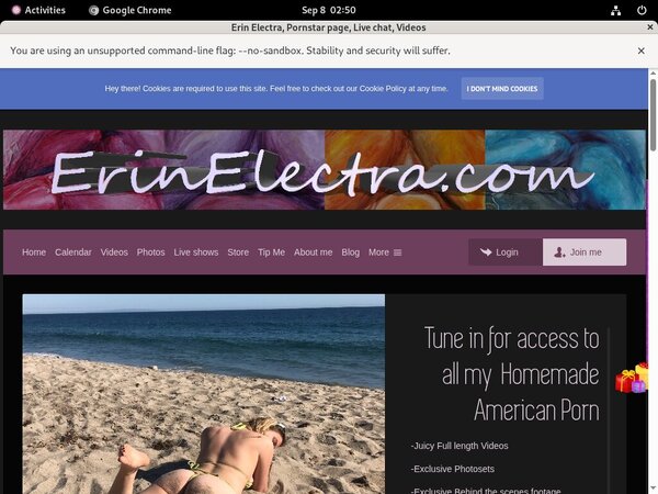 ErinElectra Porn Review