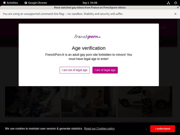 Frenchporn Password Bugmenot