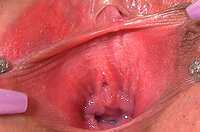 Gape My Pussy Save s1