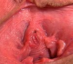 Gapemypussy.com Xvideos