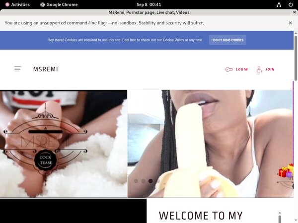 How Much Does Msremi.modelcentro.com Cost