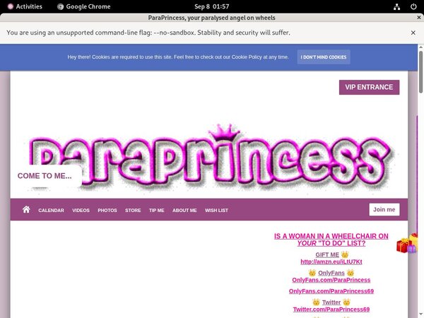 How To Access ParaPrincess