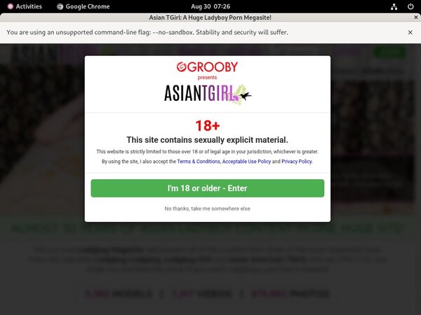 Ladyboyladyboy Free Memberships