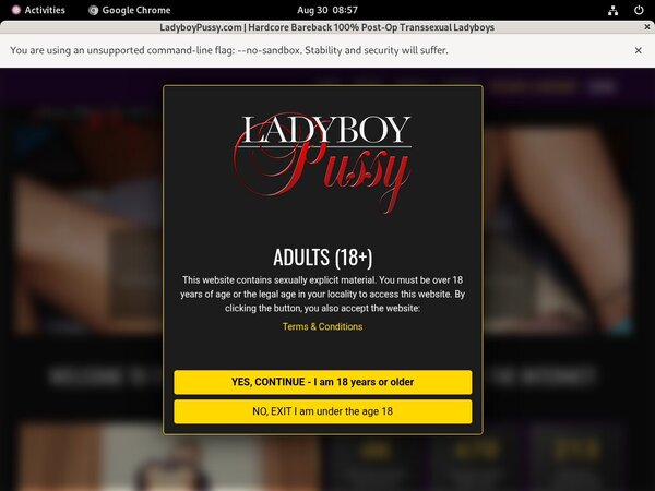 Ladyboypussy Hacked Password