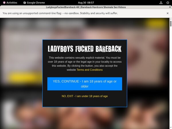 Ladyboysfuckedbareback.com Limited Promo