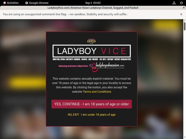 Ladyboyvice.com Free Trial Account