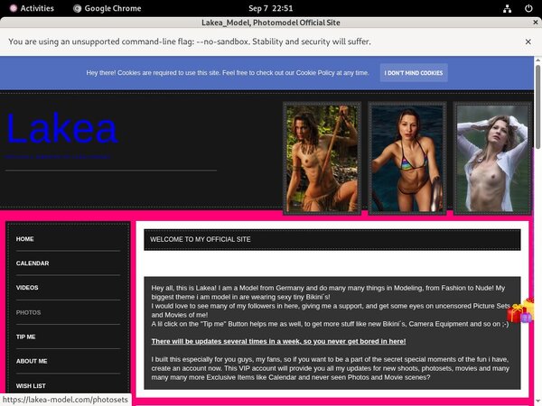 Lakea-model Daily Accounts