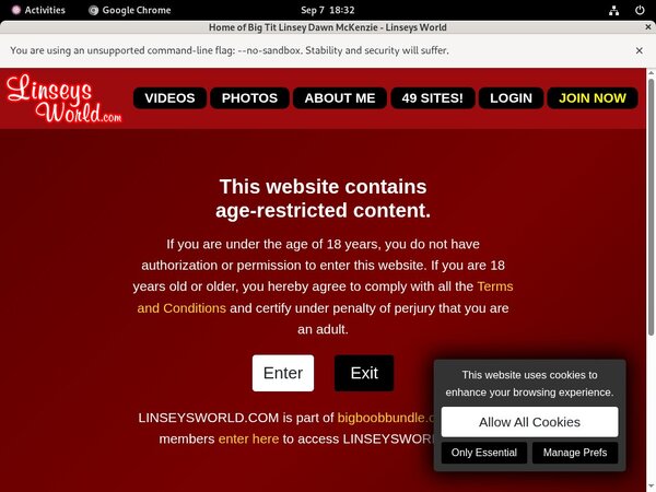 Linseys World Trial Cost