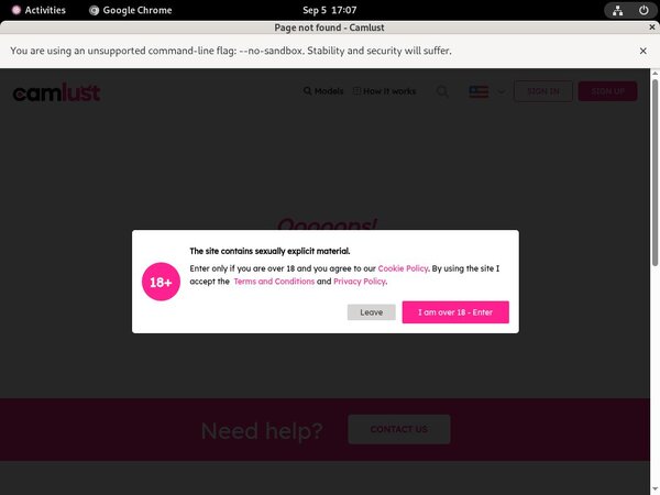 Little Princess Password Premium