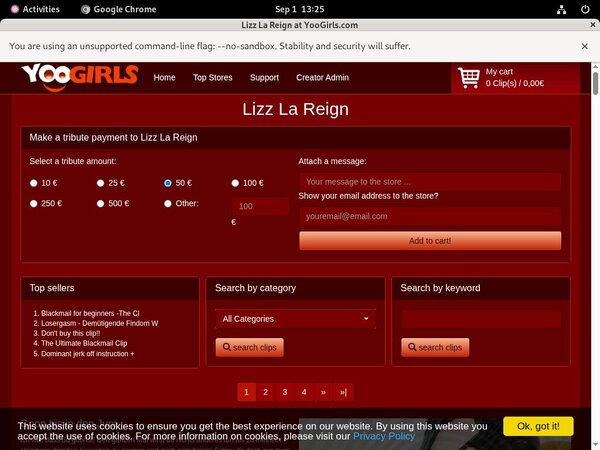 LizzLaReigncom