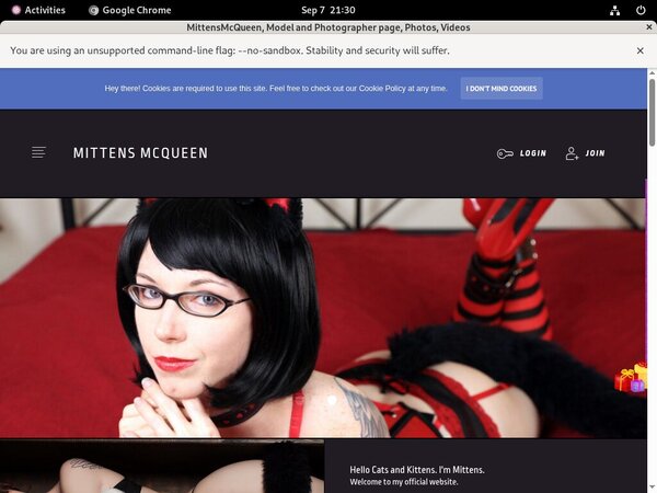 Mittensmcqueen.com Account Premium