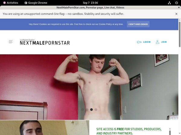 Nextmalepornstar.com Renew Password