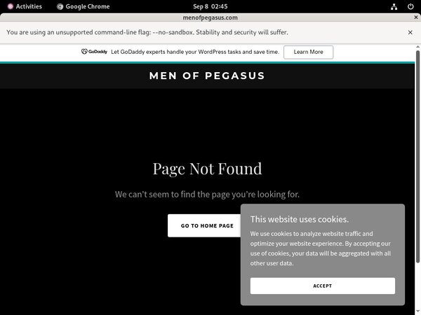 Passwords Menofpegasus.com