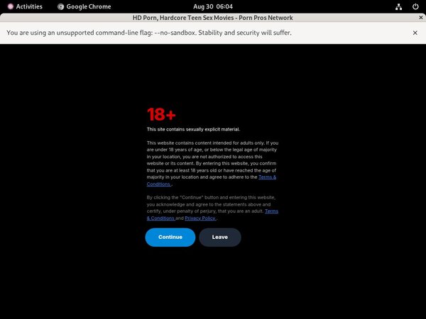 Porn Pros Network Accs