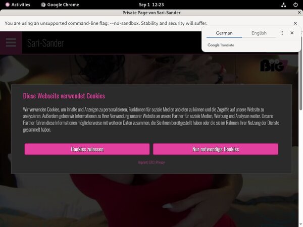 Sari Sander Paypal Options
