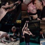 Signup For Subspace Land With Paypal