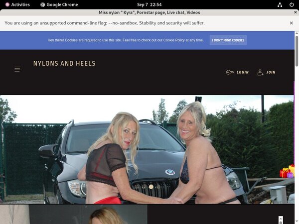 Stockingsandhighheels Account Logins