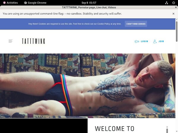 TATTTWINK Pay Pal Account