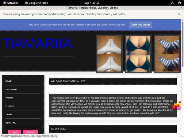 Tepasilveri.modelcentro.com Working Passwords