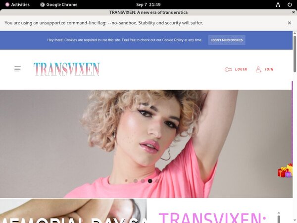 TransVixen  TransVixen