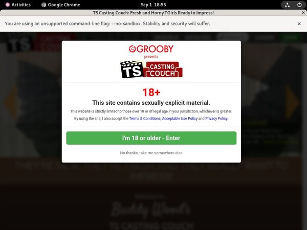 Ts-castingcouch.com Free Premium Passwords