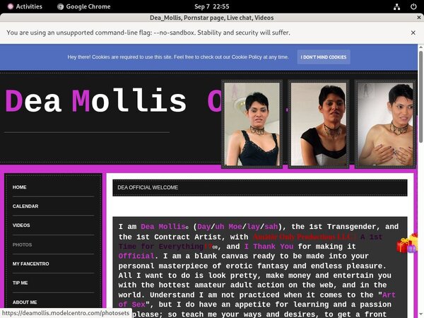 User Pass Deamollis.modelcentro.com