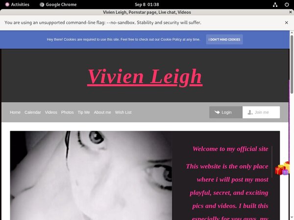 Vivien Leigh Stolen Password
