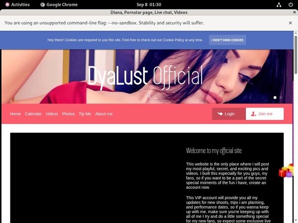 Working Dyalust.modelcentro.com Account