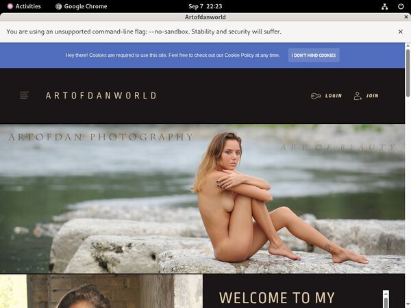 Free Artofdanworld Preview