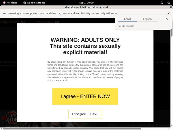 Mentalpass Upcoming